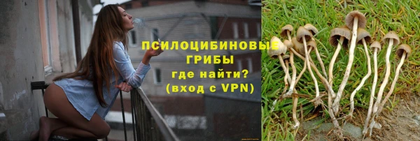 mdpv Магас